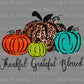Thankful Grateful Blessed Ready to Press Transfer DTF Transfer Sublimation Transfer