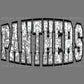 Panthers Mascot Ready to Press Transfer DTF Transfer Sublimation Transfer