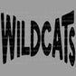 Wildcats Ready to Press Transfer DTF Transfer Sublimation Transfer