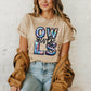 Owls Mascot Iridescent Effect Ready to Press Transfer DTF Transfer Sublimation Transfer