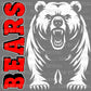 Fierce Bears Mascot Ready to Press Transfer DTF Transfer Sublimation Transfer
