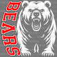 Fierce Bears Mascot Ready to Press Transfer DTF Transfer Sublimation Transfer