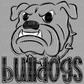 Bulldogs Doodle Mascot Sports Ready to Press Transfer DTF Transfer Sublimation Transfer