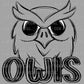 Owls Doodle Mascot Sports Ready to Press Transfer DTF Transfer Sublimation Transfer