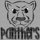Panthers Doodle Mascot Sports Ready to Press Transfer DTF Transfer Sublimation Transfer