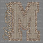 M Mustangs Leopard Mascot Ready to Press Transfer DTF Transfer Sublimation Transfer