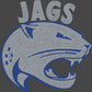 Jags 2-Color Approximately 11" wide Spangle Transfer