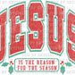Distressed Jesus is the Reason Christmas Ready To Press Transfer DTF Sublimation