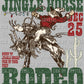 Jingle Horse Rodeo Santa Christmas Ready To Press Transfer DTF Sublimation
