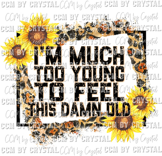 Much Too Young to Feel This Damn Old Ready to Press Transfer