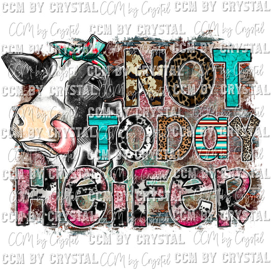 Not Today Heifer Ready to Press Transfer