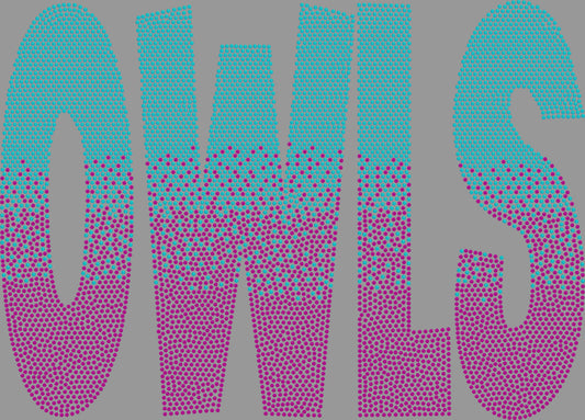 Custom Ombre Personalized Mascot 11" 2- Color Spangle Transfer