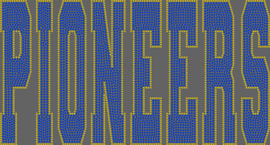 Pioneers 11" Wide 2- Color Spangle Ready to Press Spangle Transfer Sparkle Bling