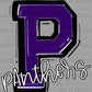 Panthers Purple Sports Mascot Ready to Press Transfer DTF Transfer Sublimation Transfer