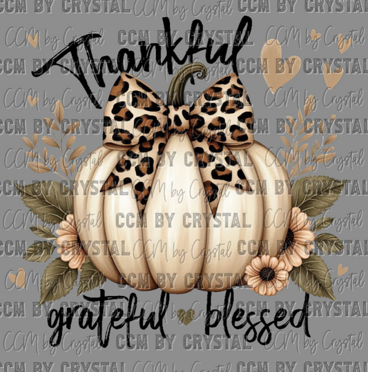 Thankful Grateful Blessed Pumpkin Fall Ready to Press Transfer Instant Peel DTF Transfer Sublimation Transfer
