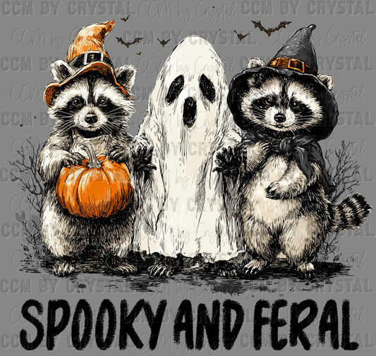 Spooky and Feral Raccoons Halloween Ghost Pumpkin Ready to Press Transfer DTF Transfer Sublimation Transfer