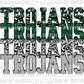 Trojans Green and Silver Leopard Print Ready to Press Transfer