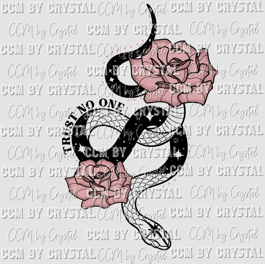 Trust No One Snake and Roses Ready to Press Transfer