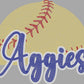 Custom Mascot Baseball or Softball Approximately 8.5" wide Spangle Transfer
