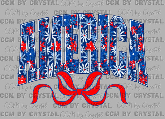 America Patriotic 4th of July Ready to Press Instant Peel DTF Transfers Sublimation Transfers