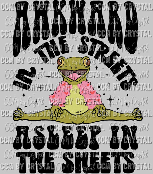 Awkward in the Streets Asleep in the Sheets Ready to Press Transfer DTF Transfer Sublimation Transfer