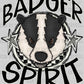 Badger Spirit Stars Checkered Ready to Press Transfer DTF Transfer Sublimation Transfer