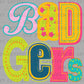 Badgers Colorful Ready to Press Transfer DTF Transfer Sublimation Transfer