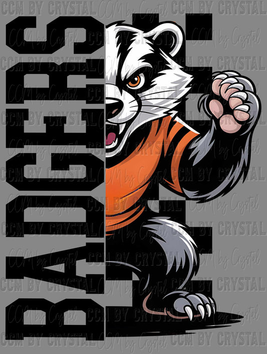 Badgers Checkered Sports Mascot Ready to Press Transfer DTF Transfer Sublimation Transfer