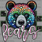 Bears Mascot Ready to Press Transfer DTF Transfer Sublimation Transfer