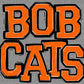 Bobcats Orange Mascot Sports Ready to Press Transfer DTF Transfer Sublimation Transfer