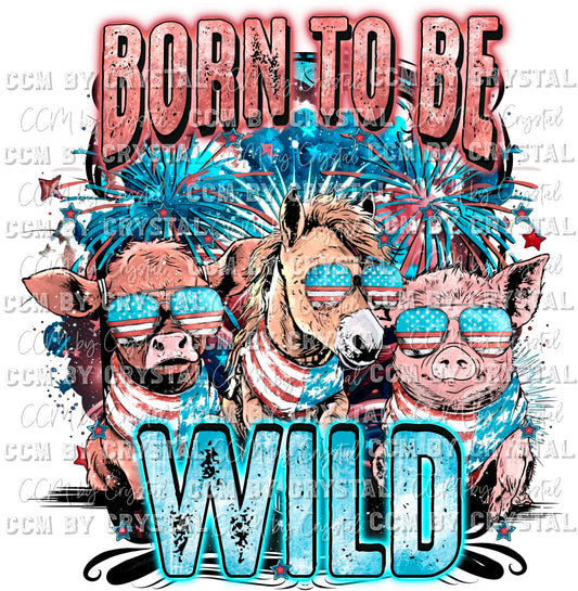 Born to be Wild Fourth of July  Ready to Press Transfer