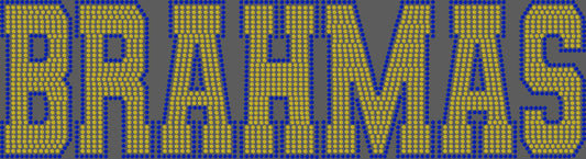 Brahmas 11"X3" 2-Color Ready to Press Spangle Transfer Bling Transfer Sparkle Transfer
