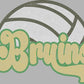 Bruins Volleyball Approximately 11" wide Spangle Transfer