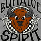 Buffaloe Spirit Stars Checkered Mascot Sports Ready to Press Transfer DTF Transfer Sublimation Transfer
