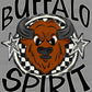 Buffalo Spirit Stars Checkered Mascot Sports Ready to Press Transfer DTF Transfer Sublimation Transfer