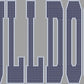Custom Personalized Name/Mascot 11" Sport Font 2- Color Spangle Transfer