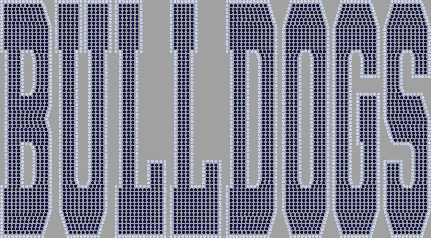 Custom Personalized Name/Mascot 11" Sport Font 2- Color Spangle Transfer