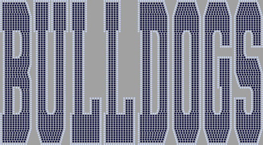 Custom Personalized Name/Mascot 11" Sport Font 2- Color Spangle Transfer