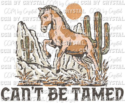 Can't Be tamed Horse Western Desert Ready to Press Transfer