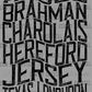 Cattle Names Western Ready to Press Transfer DTF Transfer Sublimation Transfer