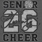 Senior Cheer Mom 2026 Silver Black Ready to Press Transfer Instant Peel DTF Transfer Sublimation Transfer