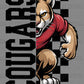 Cougars Checkered Sports Mascot Ready to Press Transfer DTF Transfer Sublimation Transfer