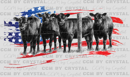 Cattle American Flag Ready to Press Transfer