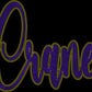 Custom Personalized Name/Mascot Script 11" 2- Color Spangle Transfer