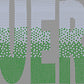 Cuero Ombre 2-Color Approximately 11" wide Spangle Transfer