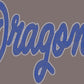 Dragons 2-Color Approximately 11" wide Spangle Transfer