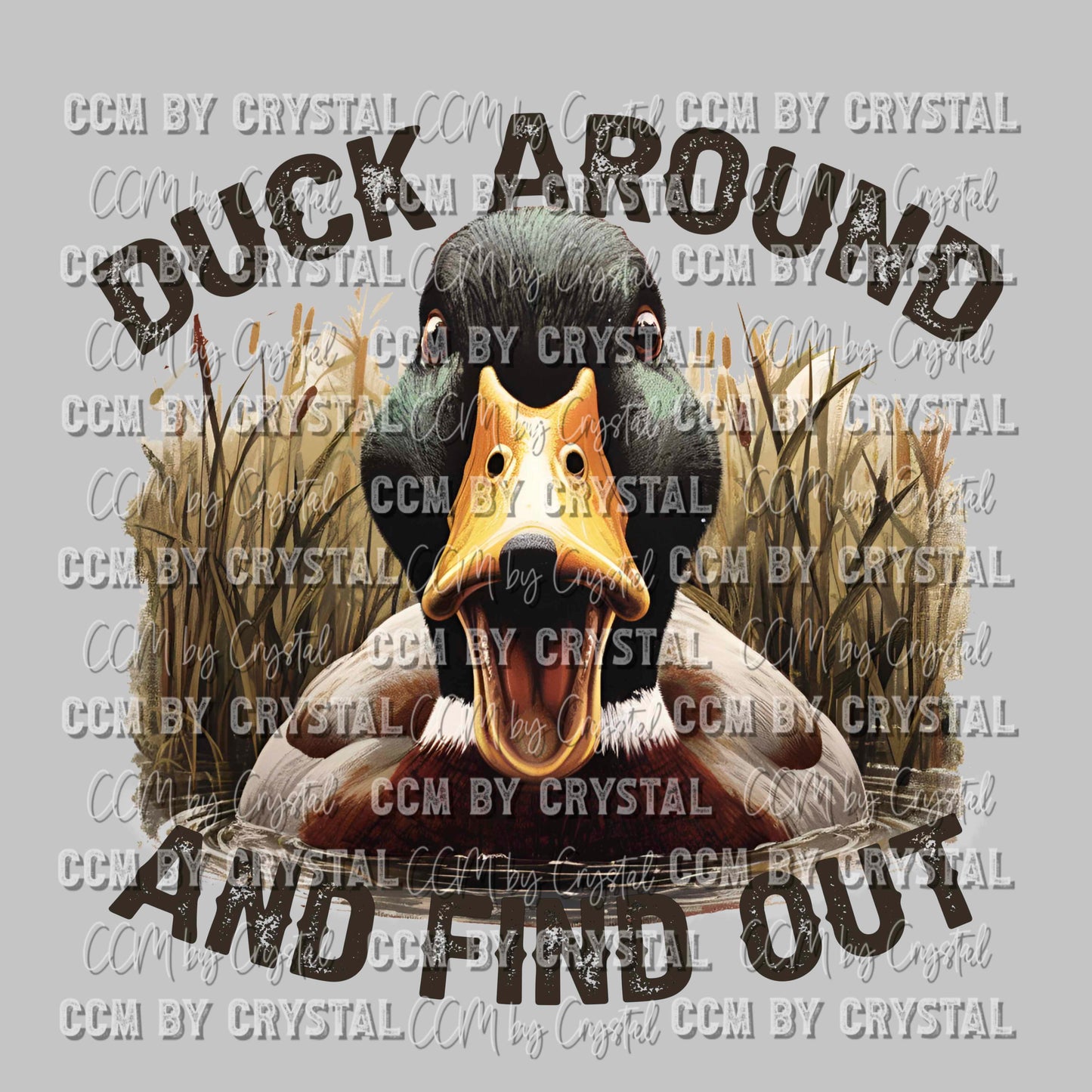 Duck Around and Find Out Ready To Press Transfer DTF Sublimation ...