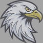 Eagle Face Head Approximately 11" wide Spangle Transfer