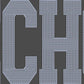 Echo 1-Color Approximately 11" wide Spangle Transfer