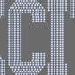 Excite 1-Color Approximately 9" wide Spangle Transfer